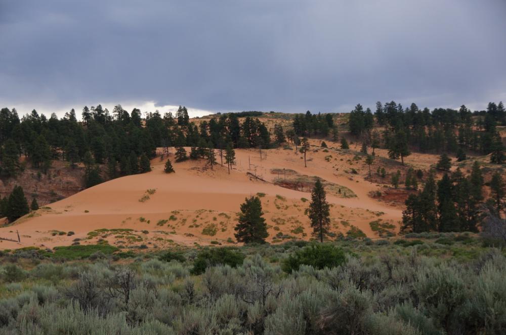 Coral Pink Sand Dunes