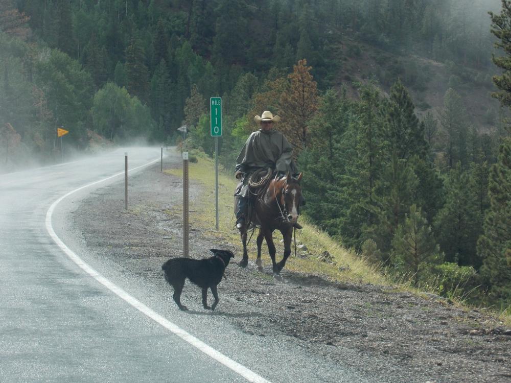 Cowboy
