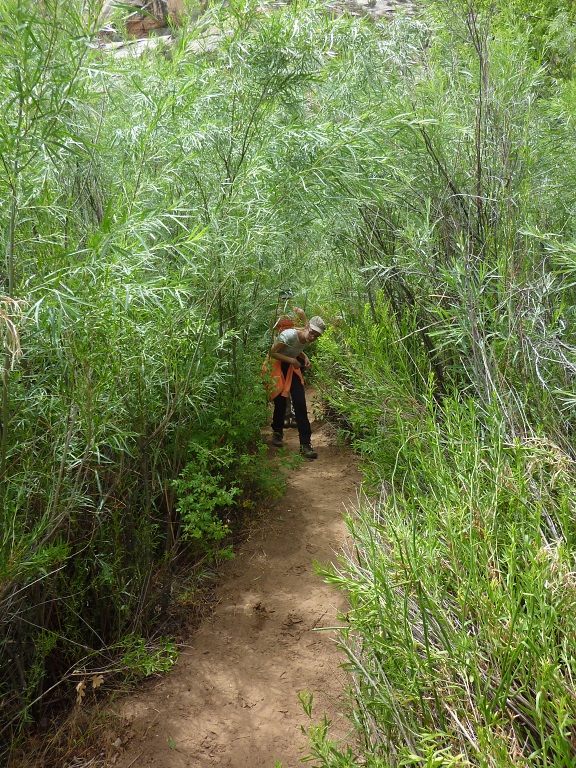 Lower Calf Creek 4