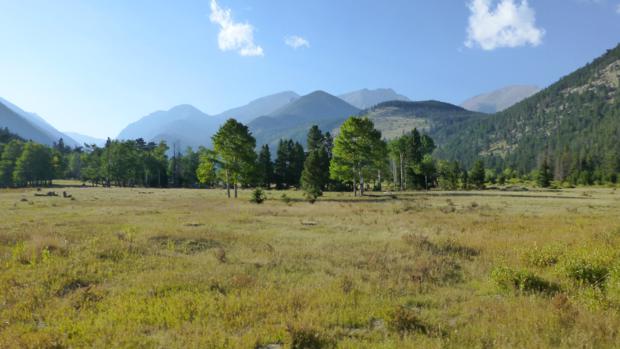 rmnp