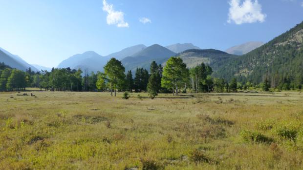 rmnp