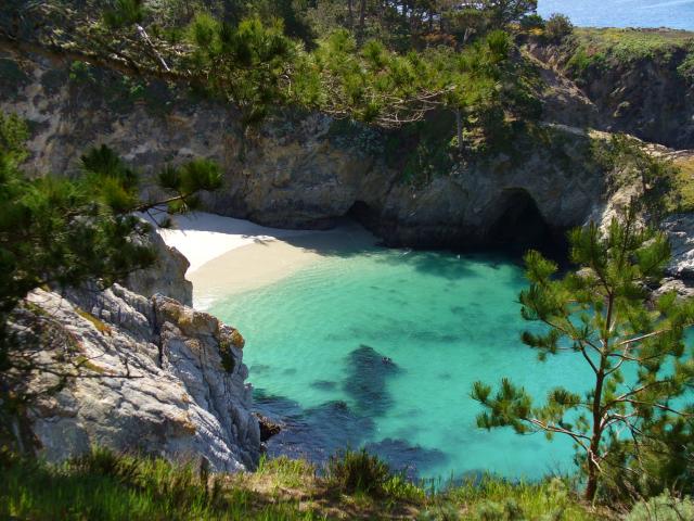 Point Lobos